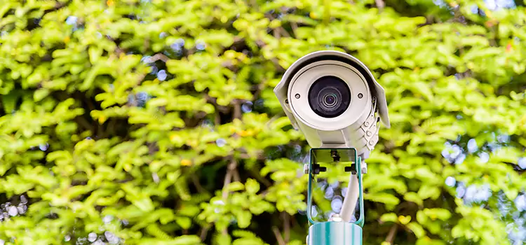 Advanced Surveillance Solutions for Every Need in Palm Coast